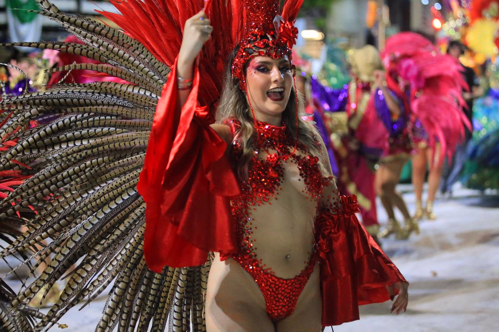 Destaque de Emperadores con plumas rojas