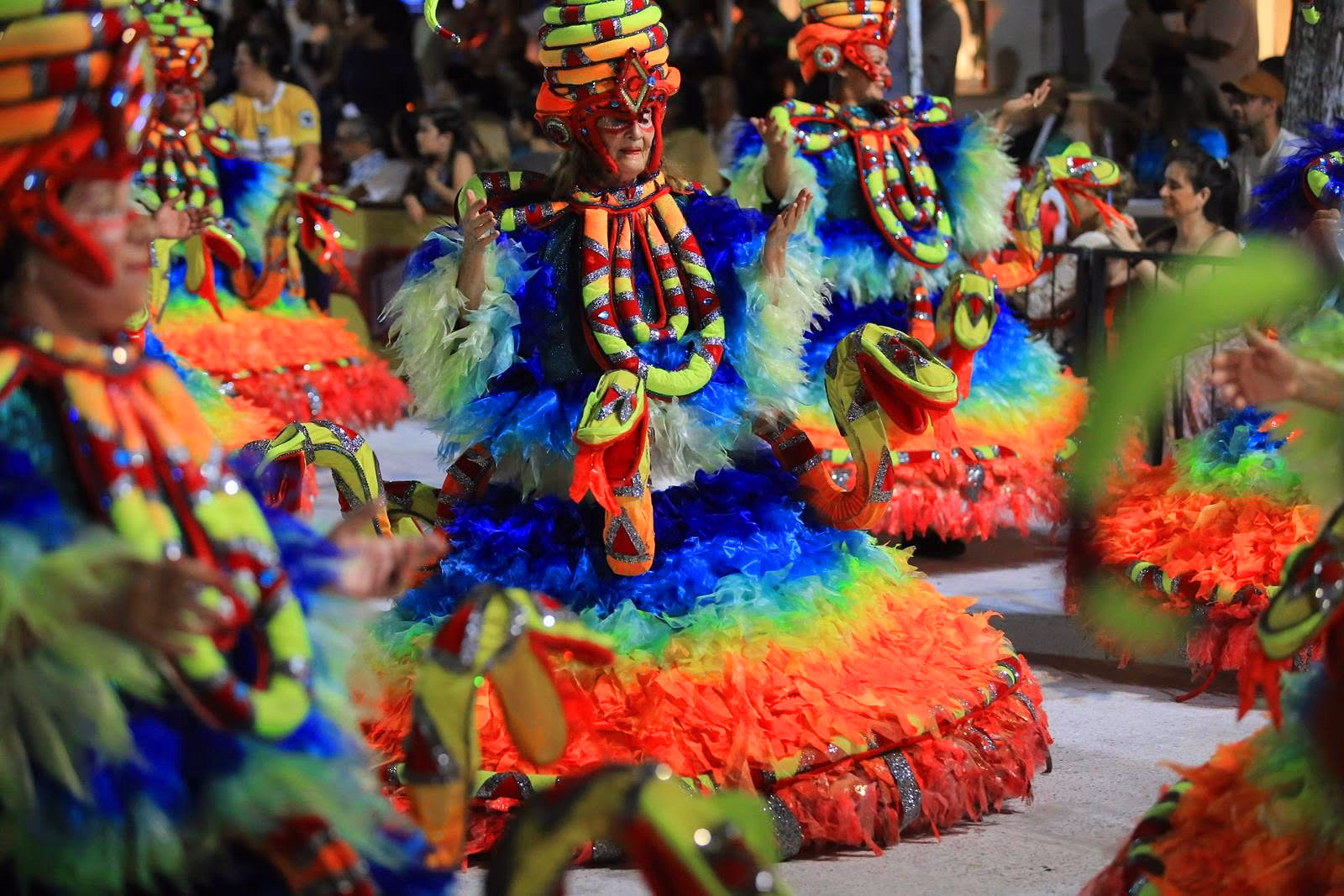 Ala de Imperio del Ayuí con plumas multicolores y máscaras