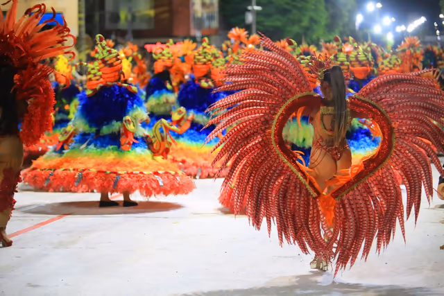 Ala de Imperio del Ayuí con plumas rojas en la avenida